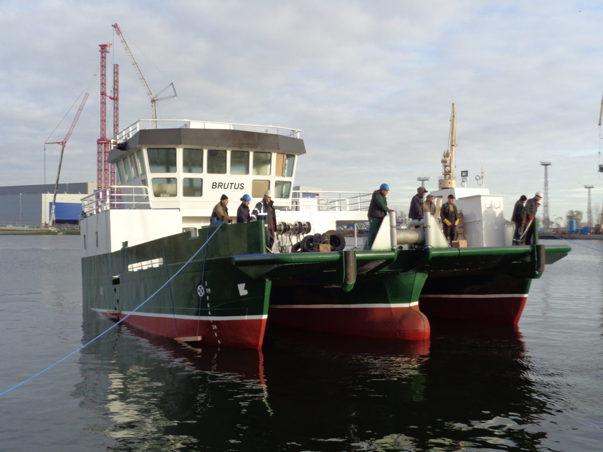m/v BRUTUS